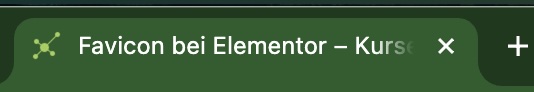 Favicon in Elementor überprüfen