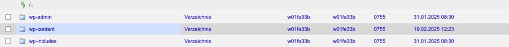 Klick auf “wp-content”