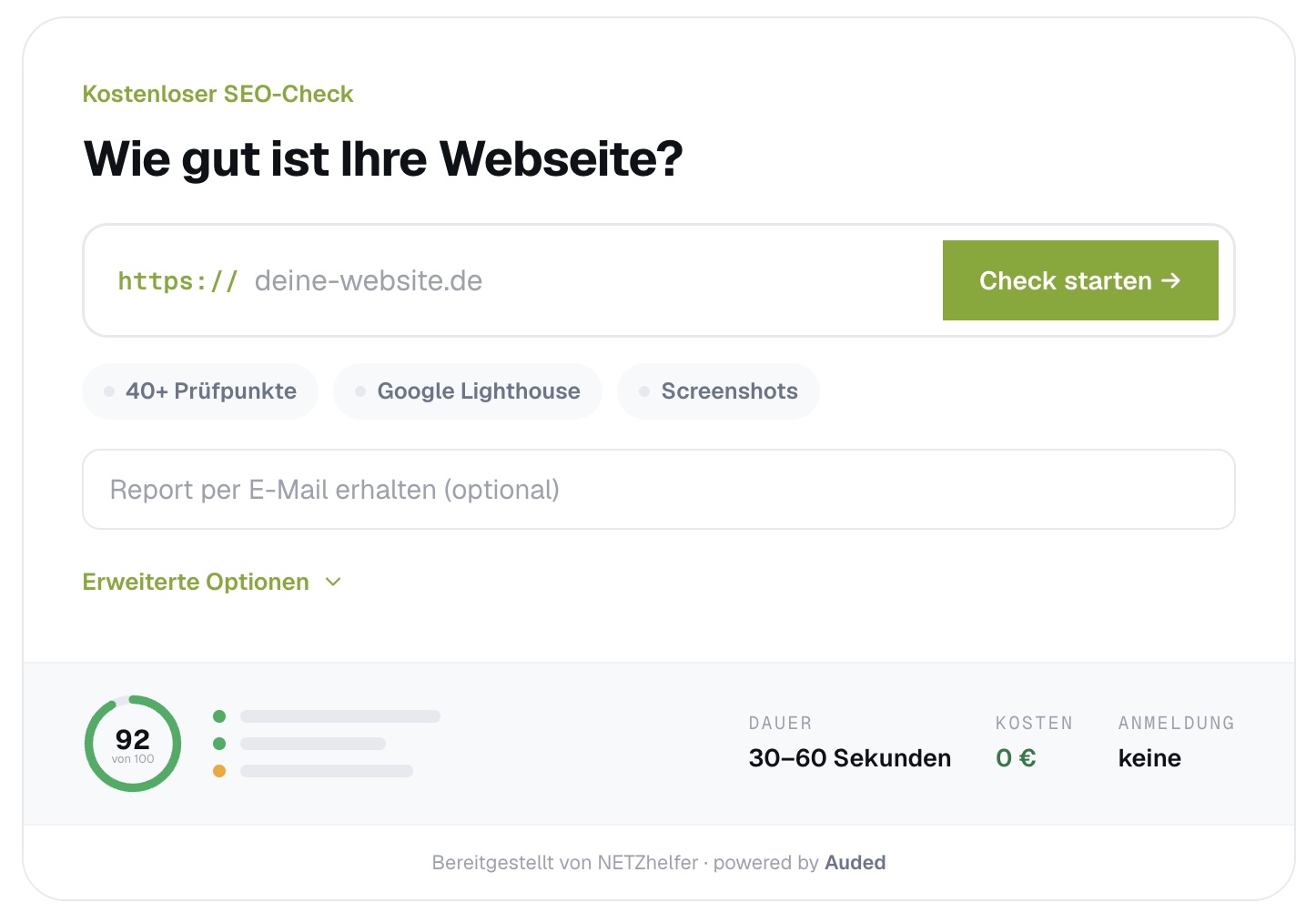 Kostenloser SEO-Check Screenshot
